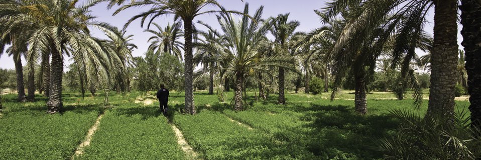 Policymakers, entrepreneurs, experts and actors in STI will share experiences and tackle  this question
